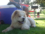 2007_0321JoeandSamson0034