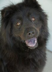 30667_128644633831772_100000587081780_234633_4524654_n