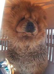 Apple-valley-osa-new2