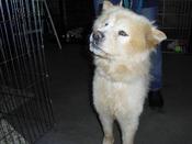 Charlotte-memphis-look-up-sweet-smallerCIMG0055