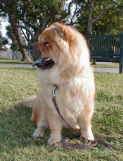 Cleo_happy_park_profile_vertical