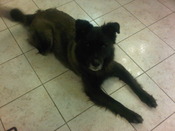 IMG00124-20101117-1731