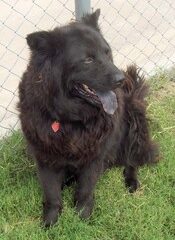 Jun07_CageC19CaptainJack2