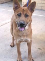 NC-Tony-at-camera-cute