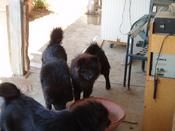 Perris-Fancy-and-Martin