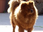 Picturesoffamilyx-mas043-1