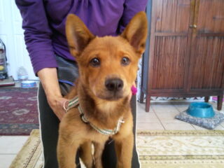 ROGUE-SURPRISE-2011-04-25-13.04.26