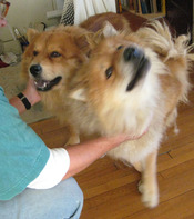 Rancho-2Girls-head-tilt