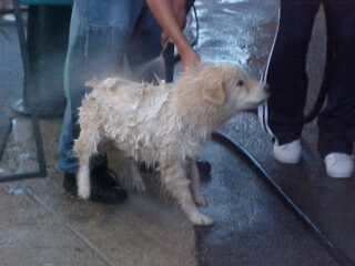 WV-A818915-Spyky-bath