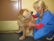 l_a15860d5b52c97d023f78f2e222fe526