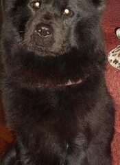 l_c98a6c07d26ea904610966453498cfb5