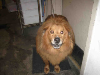 lakjsdhfak_sjdhf_alsdfh