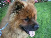 schrei-boo-cu-left40-2