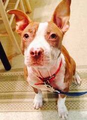 00505_85NBu1MbTZ4_600x450