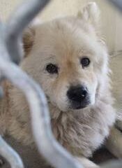 10612882_303508766488431_112657313535663002_n