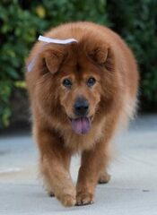 1093916_10153485980867506_1668927935666913517_o