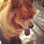 1901218_868922459799826_3443838311996275527_n