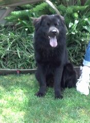 2013-03-25_13-02-10_750