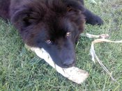 299663_192120877521048_100001694127472_474435_5826857_n