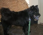 EV-Princess-lola-side-pretty