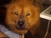 IMG00491-20110924-1632