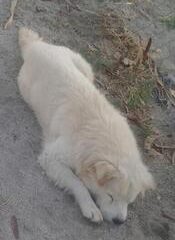 IMG_20140915_070724-1-1