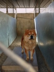 Kern-Crimson-barbarossa-full