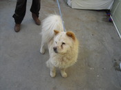 LaLa-full-look-side-CIMG1144