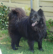 Screenshot2013-12-11at1.07.48PM