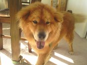 perris-2012-Handsome-front-cu